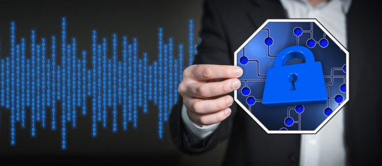 Gestión y Resguardo de la Información Sensible​